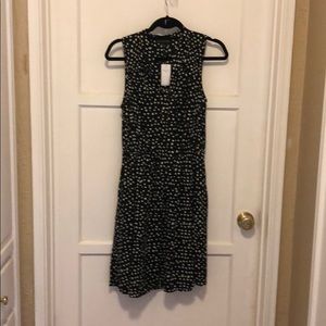 Polkadot navy and white dress